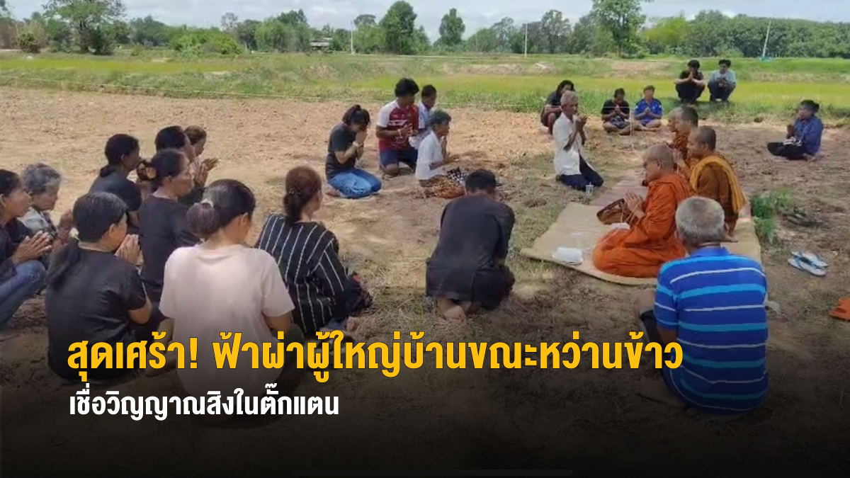 สุดเศร้า! ฟ้าผ่าผู้ใหญ่บ้านขณะหว่านข้าวต่อหน้าลูกชาย เชื่อวิญญาณสิงในตั๊กแตนตำข้าว